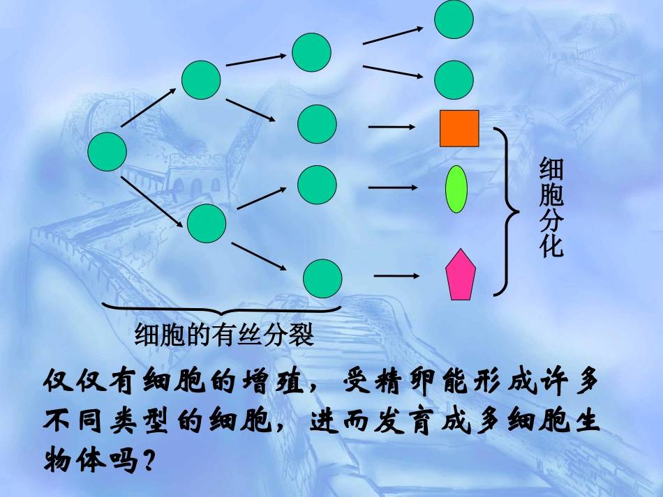 细胞分化概念_第1页