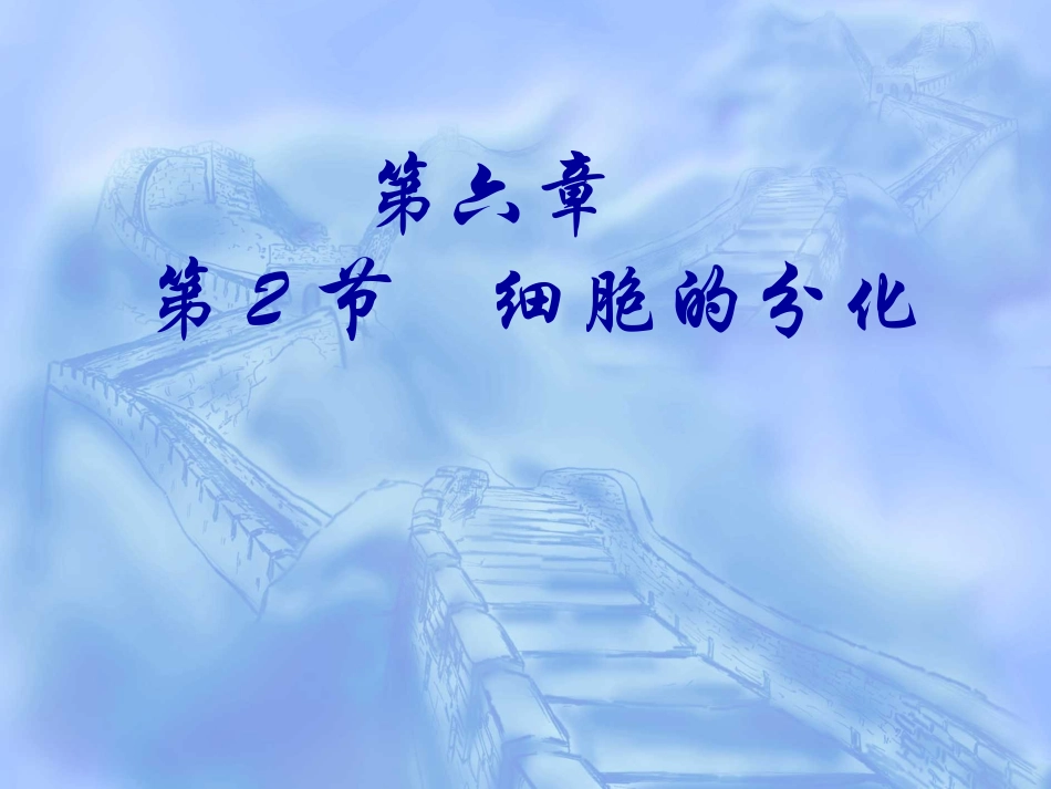细胞分化概念_第2页