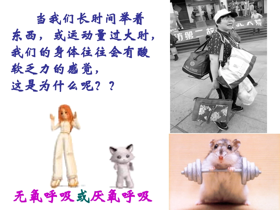 细胞呼吸厌氧呼吸_第1页