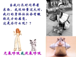 细胞呼吸厌氧呼吸