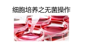 细胞培养无菌操作