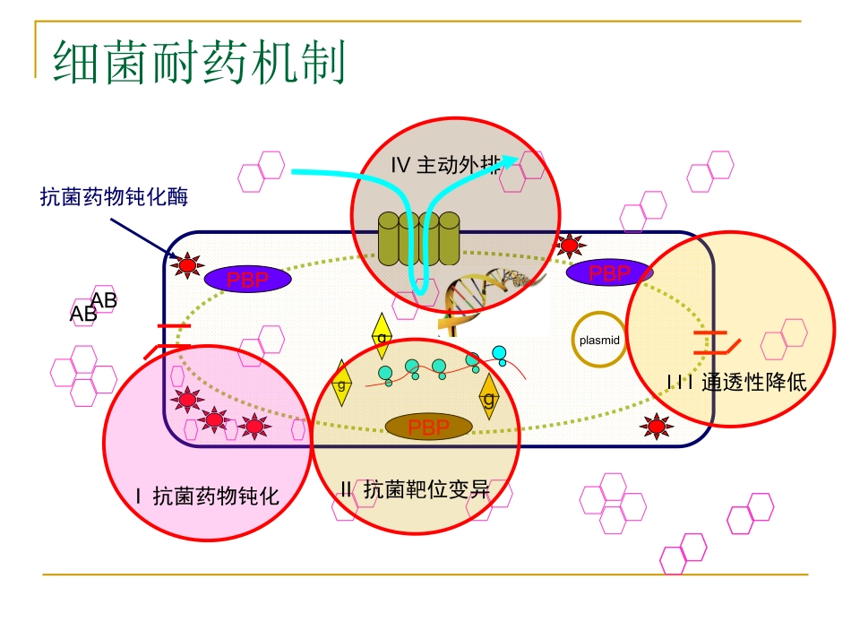 细菌耐药和抗菌药物合理使用的原则_第3页