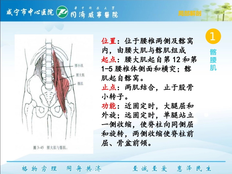 下交叉综合征_第2页