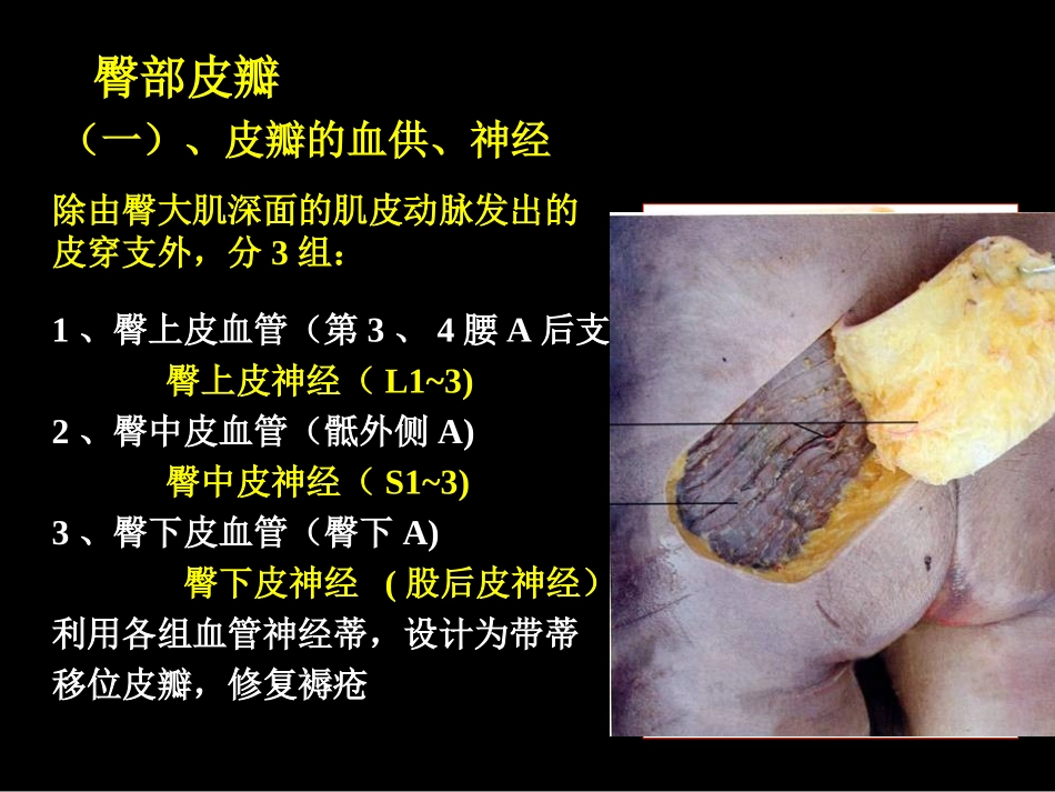 下肢后面显微解剖学_第2页