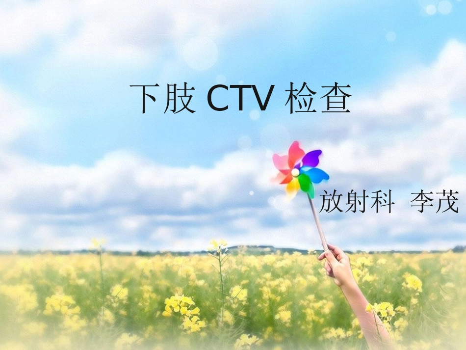 下肢静脉CTVNovo_第1页