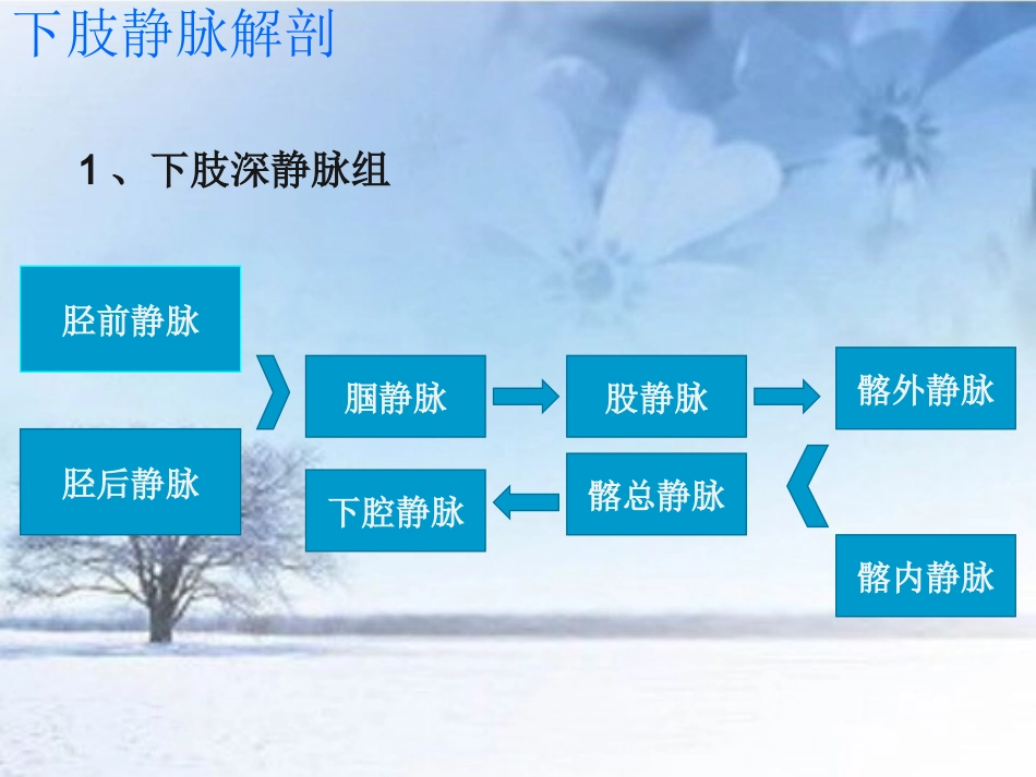 下肢静脉CTVNovo_第3页