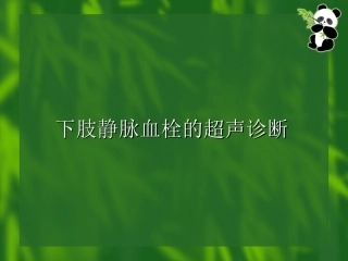 下肢静脉血栓的超声诊疗