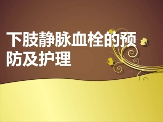 下肢静脉血栓的护理
