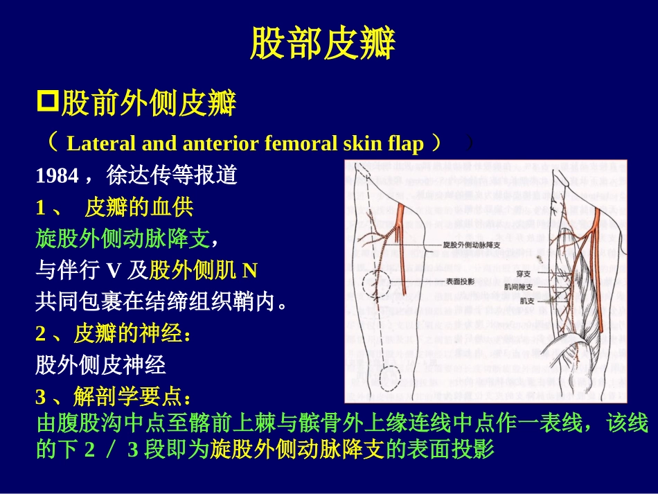 下肢前面显微解剖学_第2页