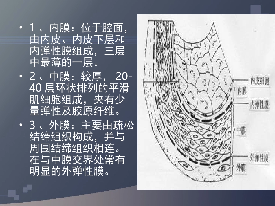 下肢血管超声检查_第3页