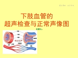下肢血管的超声检查及正常声像图