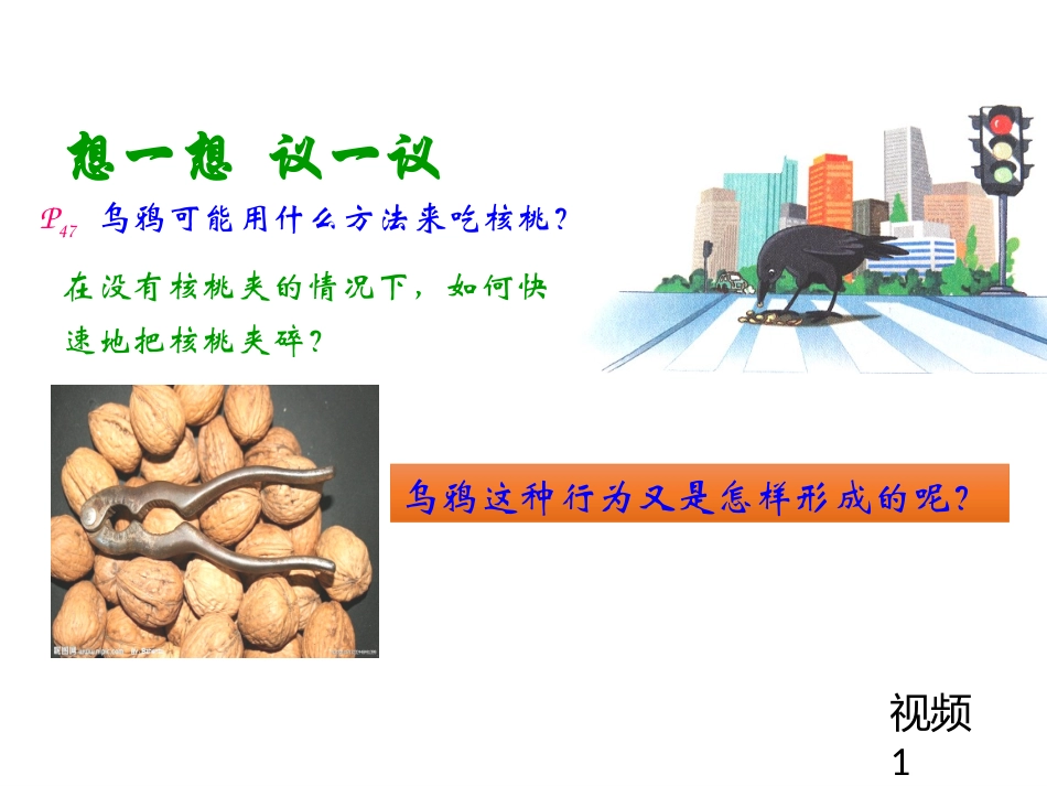 先天性行为和学习行为_第2页