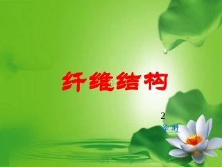 纤维结构和性能