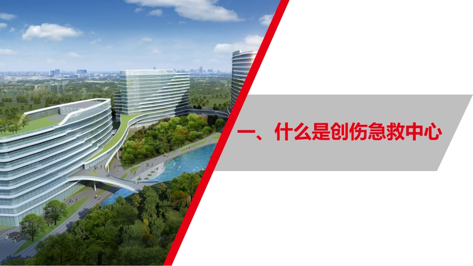 县域创伤急救中心的建设和发展_第2页