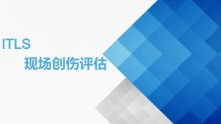 现场创伤评估