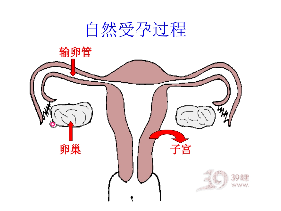 现代辅助生殖技术_第2页