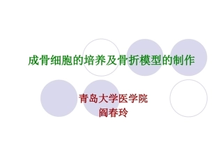 现代医学实验学成骨细胞的培养和骨折模型的制作