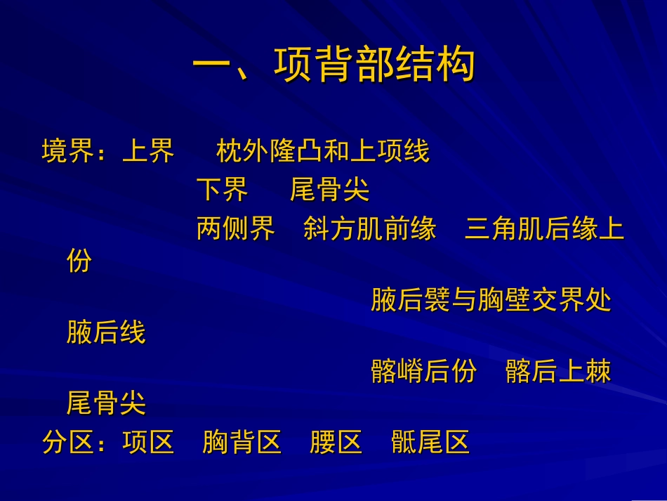 项背区肩胛区和三角肌区解剖_第3页
