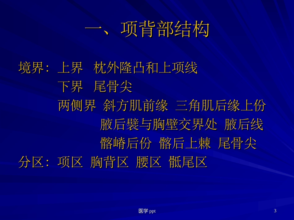 项背区肩胛区及三角肌区解剖_第3页