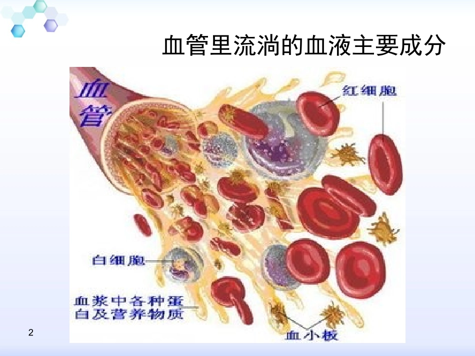 小儿急性肾小球肾炎的护理课件_第2页