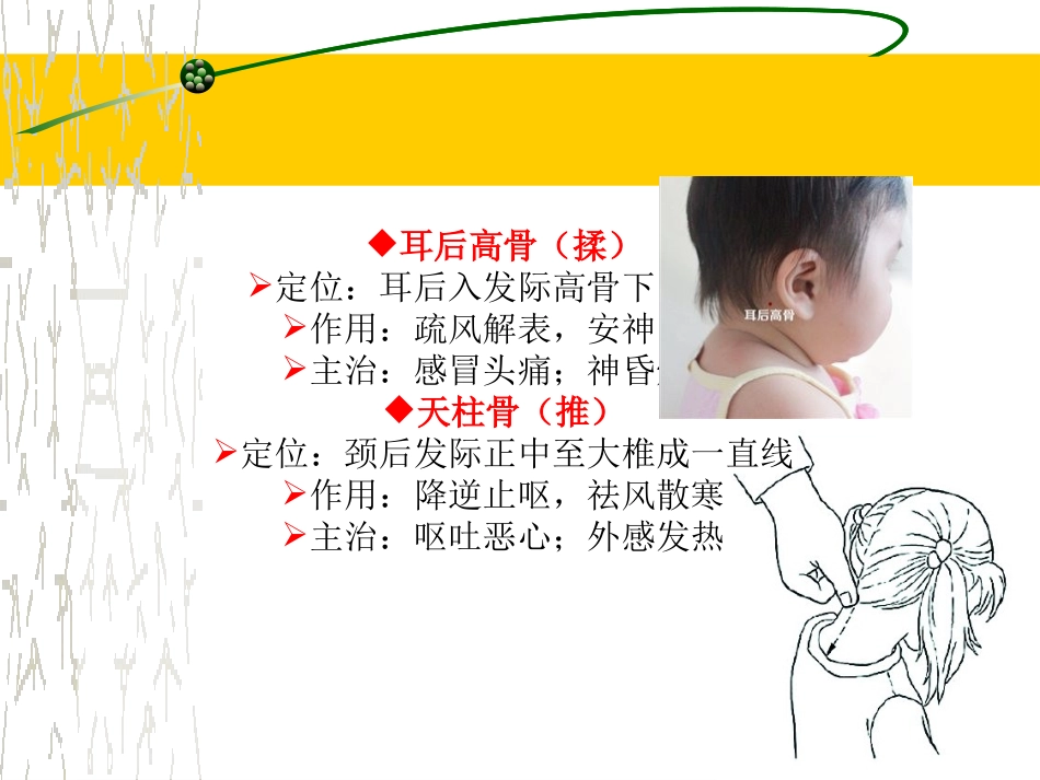 小儿推拿特定穴讲座_第2页
