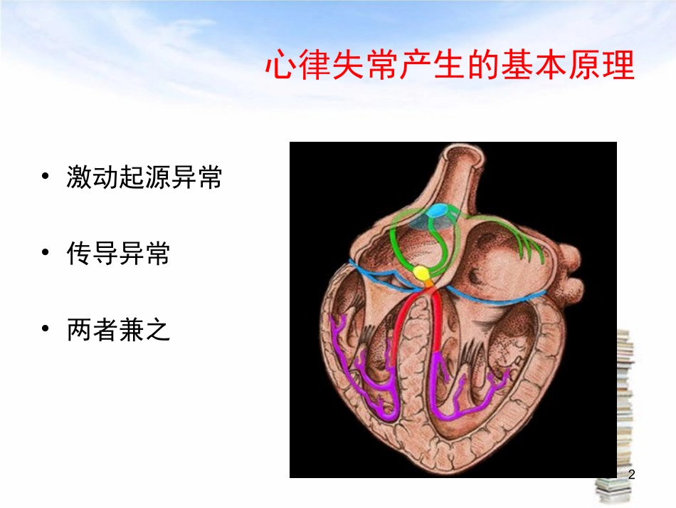 小儿心律失常医学课件_第2页