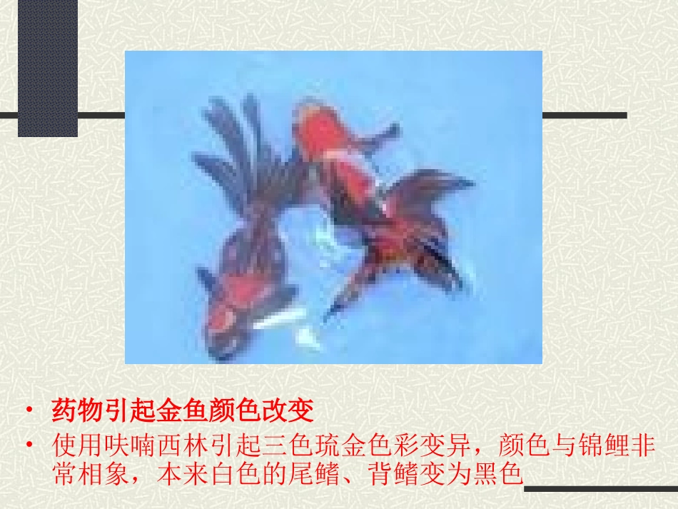 小儿用药护理_第2页