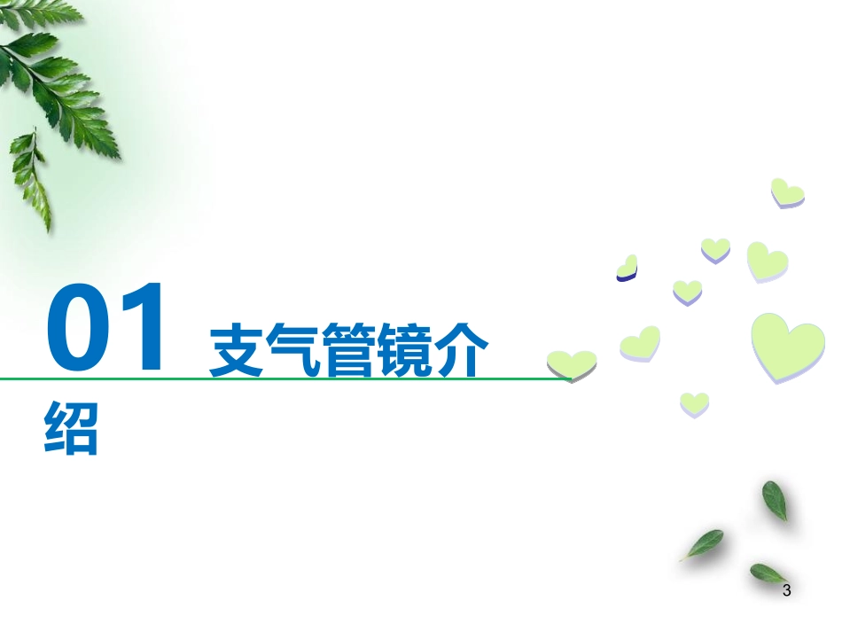 小儿支气管镜检查医学课件_第3页