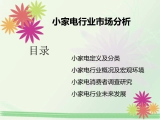 小家电行业市场分析报告最新课件