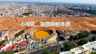 小街区密路网的本质