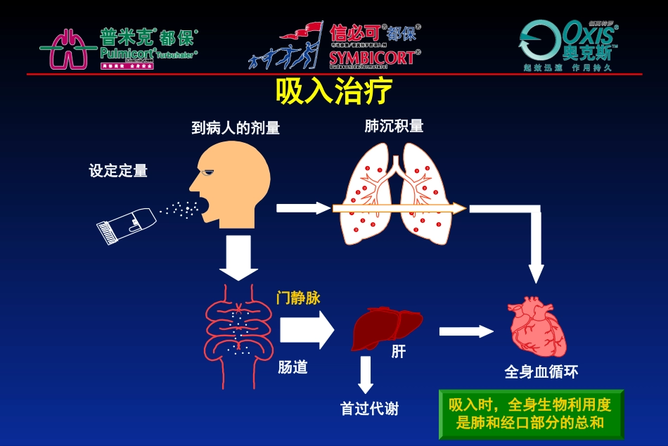 哮喘吸入装置解读_第3页