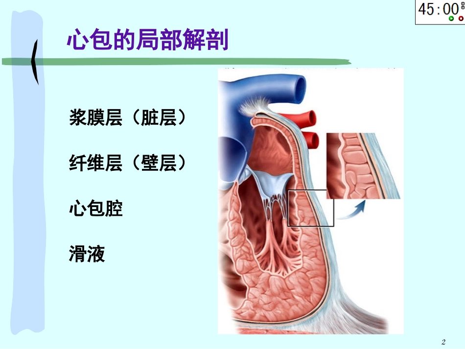 心包窦和心包隐窝专题教学课堂_第2页