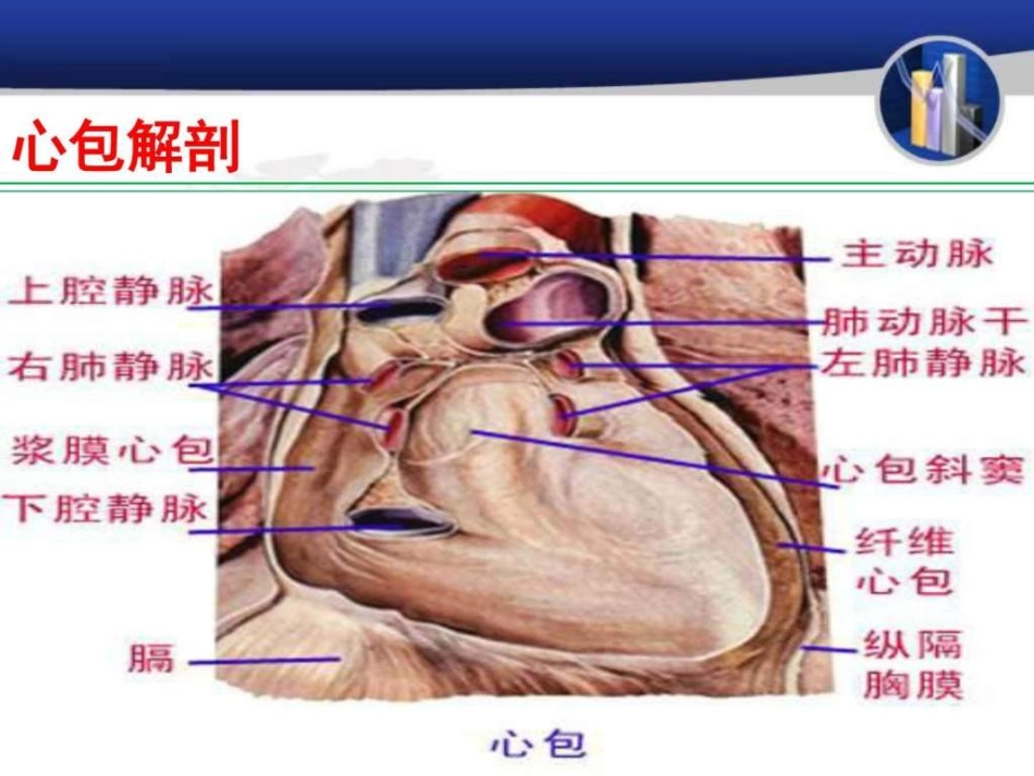 心包积液及心包填塞图文_第2页