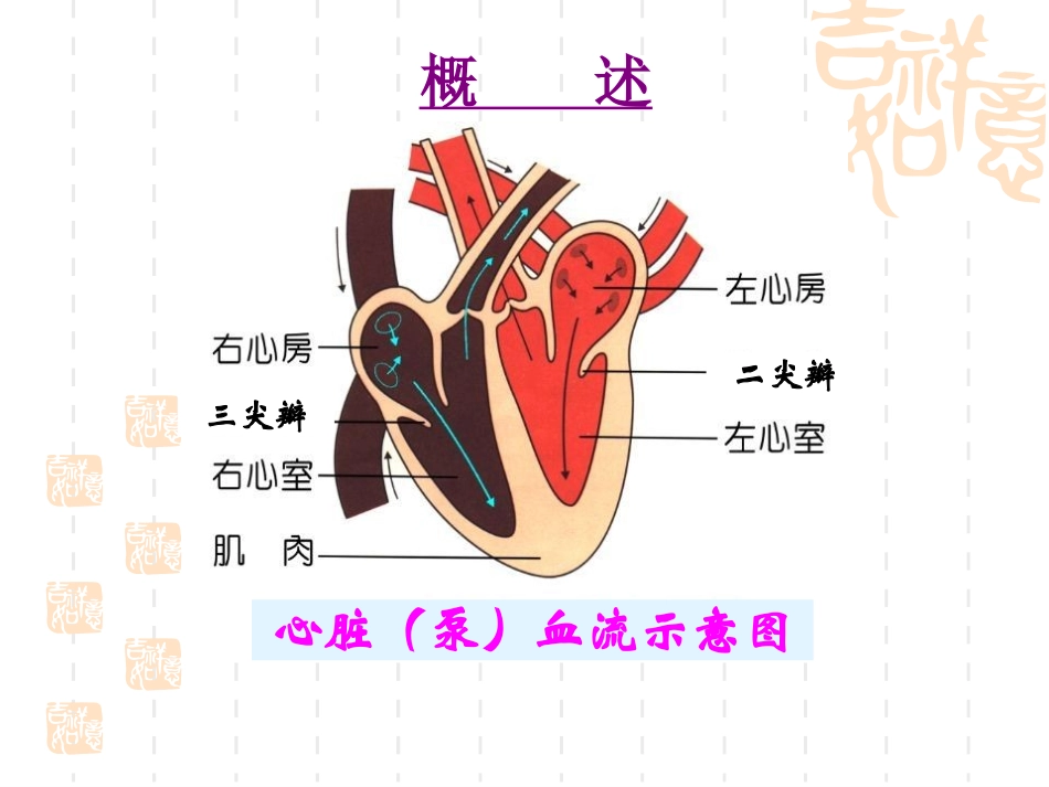 心功能不全的护理查房课堂_第2页