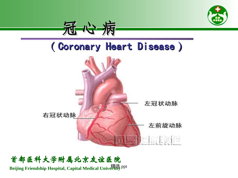 心绞痛和急性心肌梗死的识别课件_第3页