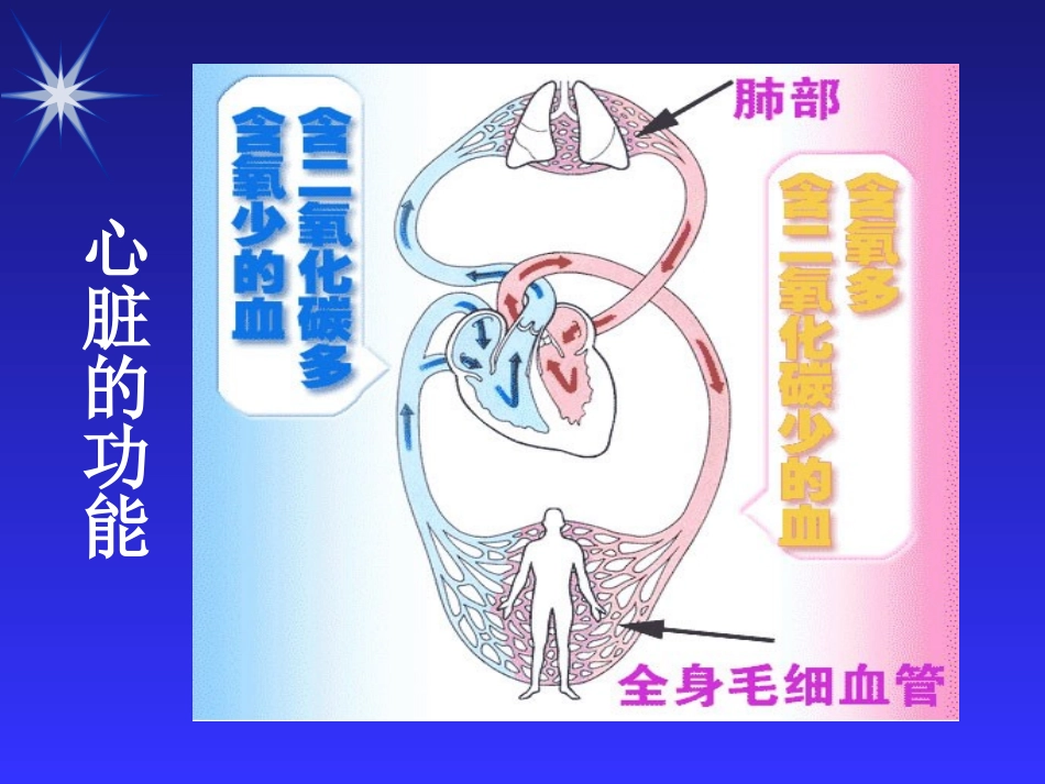 心力衰竭的临床表现及处置措施_第3页