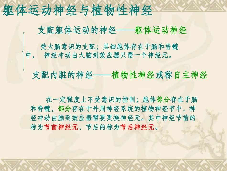 心血管活动的调节_第3页