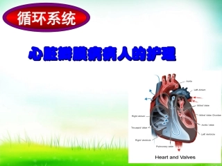 心脏瓣膜病病人的护理
