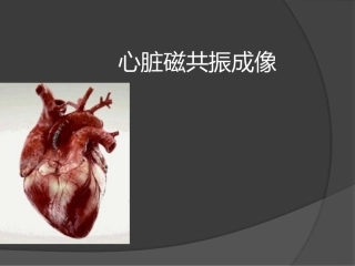 心脏磁共振成像课堂
