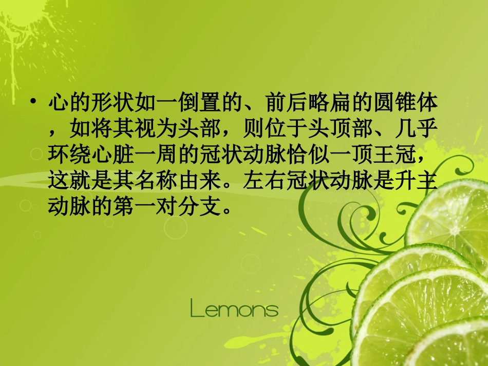 心脏冠状动脉解剖_第2页