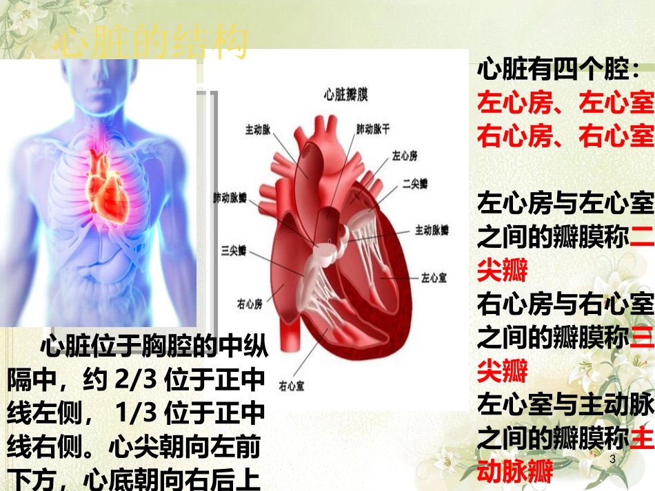心脏起搏器的术后护理_第3页