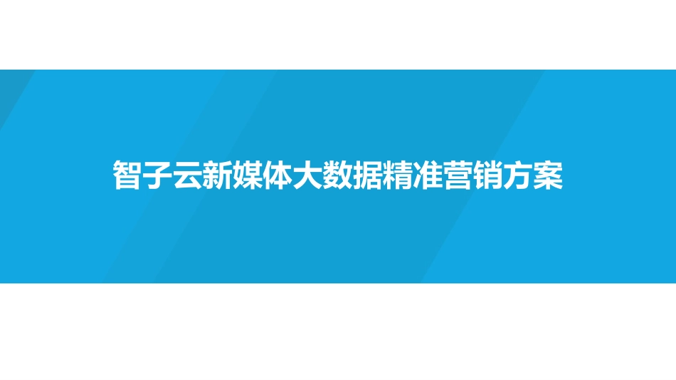 新媒体大数据精准营销方案_第1页