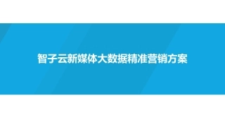 新媒体大数据精准营销方案