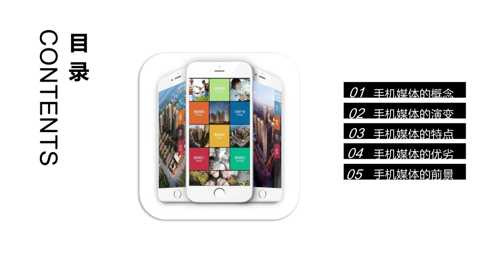 新媒体概论手机媒体_第2页