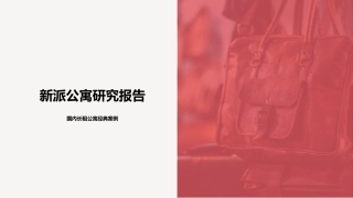 新派公寓研究报告