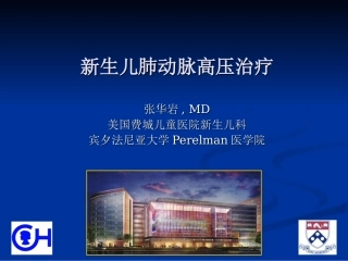 新生儿肺动脉高压管理