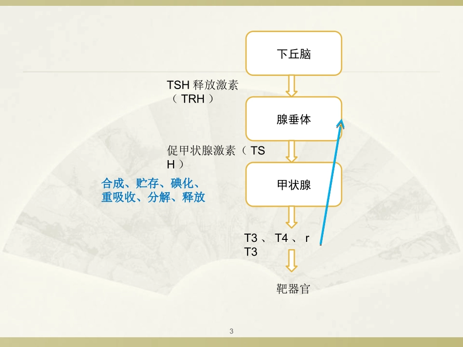 新生儿甲状腺功能异常课件_第3页