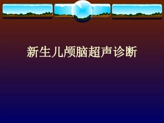 新生儿颅脑超声诊疗