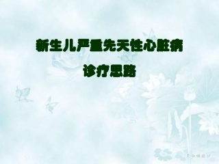 新生儿严重先天性心脏病诊疗思路