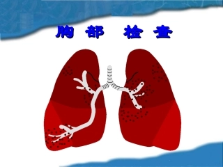胸部体表标志概要